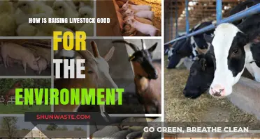 Sustainable Livestock Farming: Environmental Benefits and Eco-Friendly Practices
