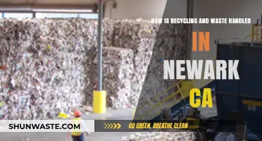 Newark, CA's Recycling and Waste Management: Processes, Challenges, and Solutions