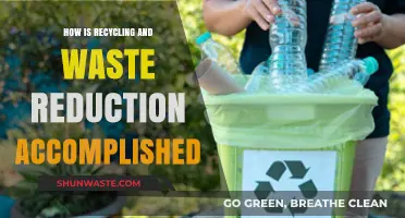 Sustainable Practices: Mastering Recycling and Waste Reduction Strategies for a Greener Future