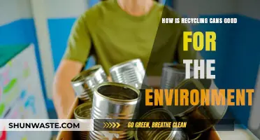 Recycling Cans: Eco-Friendly Benefits for a Sustainable Planet