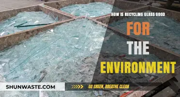 Recycling Glass: Eco-Friendly Benefits for a Sustainable Future