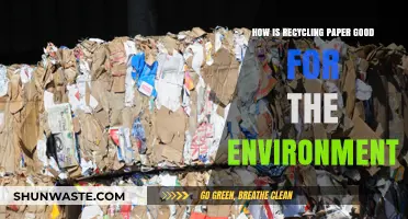 Recycling Paper: A Sustainable Choice for a Greener Environment
