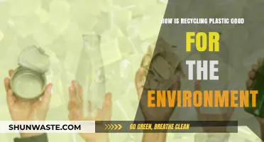 Recycling Plastic: A Sustainable Solution for a Greener, Healthier Planet