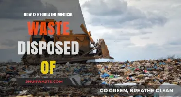 Safe Disposal of Regulated Medical Waste: Processes and Compliance
