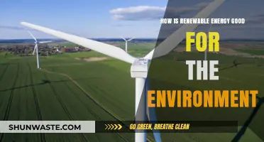 Renewable Energy: A Sustainable Solution for a Greener, Healthier Planet