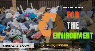 Reusing Reduces Waste: Eco-Friendly Benefits for a Sustainable Planet