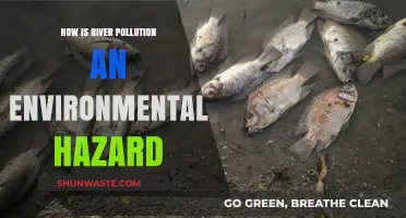 River Pollution: A Hazardous Threat to Our Environment