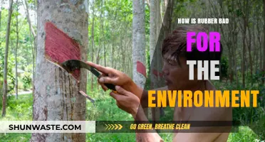 Rubber's Environmental Impact: Pollution, Deforestation, and Ecosystem Destruction Explained