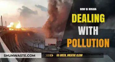 Russia's Pollution Battle: Strategies and Challenges