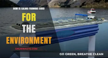 Salmon Farming: Sustainable Practices Boosting Marine Ecosystems and Biodiversity