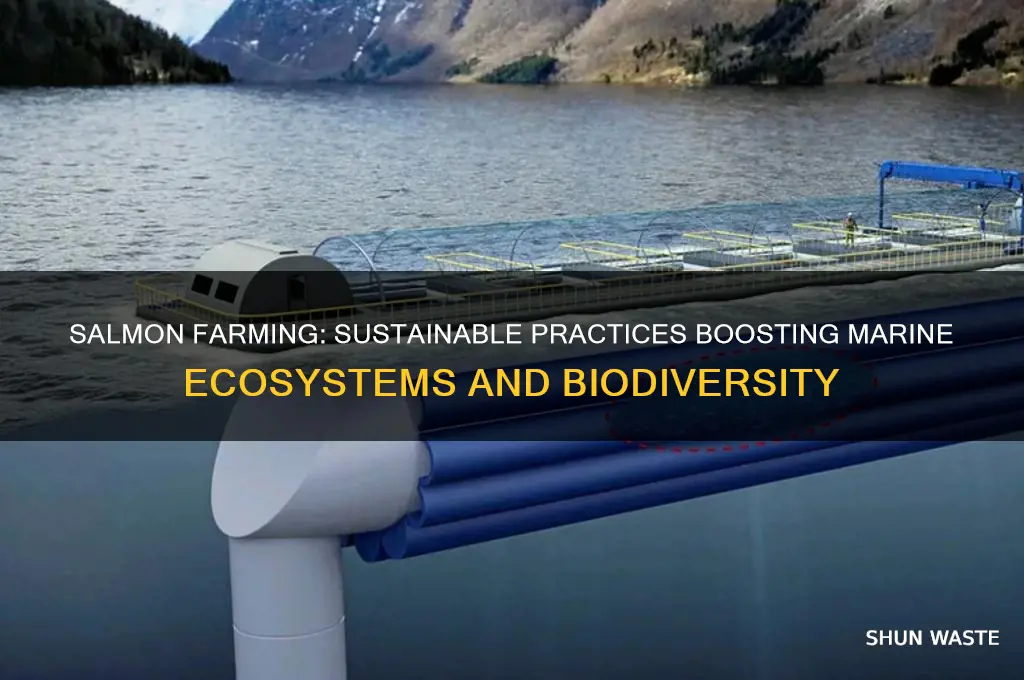 how is salmo farming good for the environment