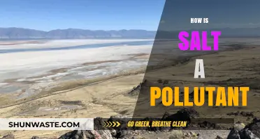 Salt: A Hidden Pollutant in Our Environment