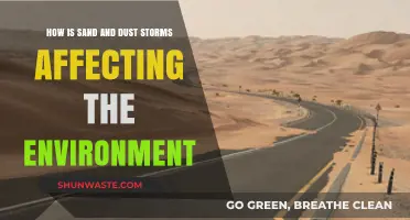 Sand and Dust Storms: Environmental Impacts and Global Consequences