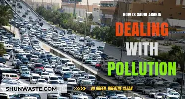 Saudi Arabia's Pollution Control Initiatives: An Overview