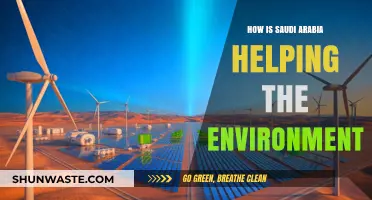 Saudi Arabia's Green Revolution: Environmental Initiatives and Sustainability Efforts