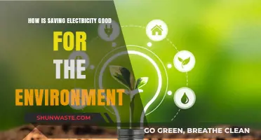 Saving Electricity: A Powerful Step Towards a Greener, Healthier Planet