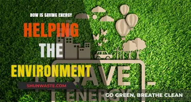 Saving Energy: A Powerful Step Towards a Greener, Healthier Planet