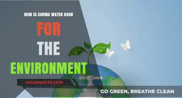 Saving Water: A Simple Step for a Greener, Healthier Planet