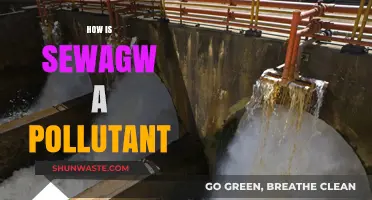 Sewage: A Hidden Pollutant in Our Waterways