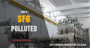 SF6's Environmental Impact: Pollution Sources and Risks