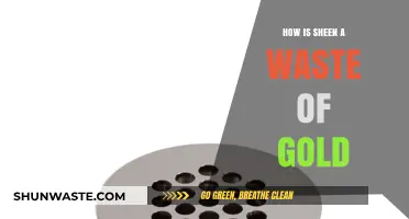 Sheen's Hidden Cost: Why It's a Waste of Gold in Gaming