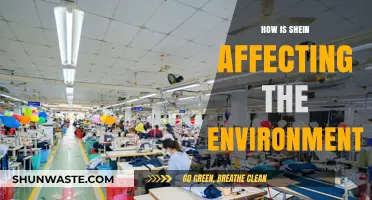 Shein's Environmental Impact: Fast Fashion's Hidden Costs and Consequences
