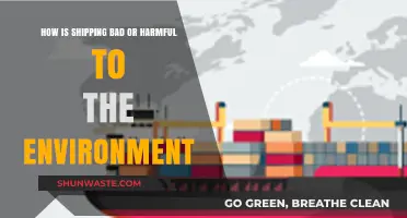 Shipping's Environmental Impact: Pollution, Emissions, and Ecosystem Destruction Explained