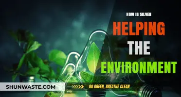 Silver's Green Impact: Eco-Friendly Innovations and Environmental Benefits