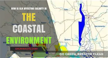 Sea Level Rise Impact: Coastal Salinity Changes and Ecosystem Effects