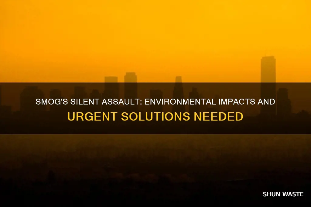 how is smog affecting the environment