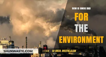 Smog's Environmental Impact: Harmful Effects on Air, Health, and Ecosystems