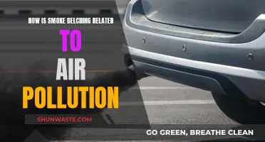 Smoke Belching: A Major Cause of Air Pollution