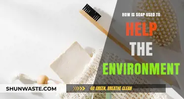 Eco-Friendly Suds: How Soap Supports a Greener, Cleaner Planet
