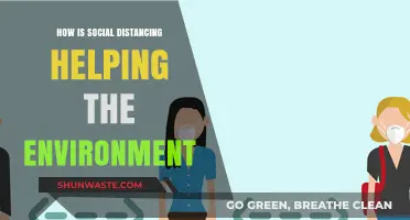 Social Distancing's Unexpected Eco-Impact: Cleaner Air, Quieter Earth, Greener Future