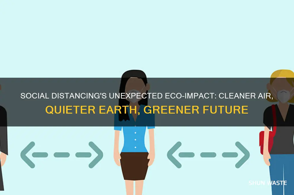 how is social distancing helping the environment
