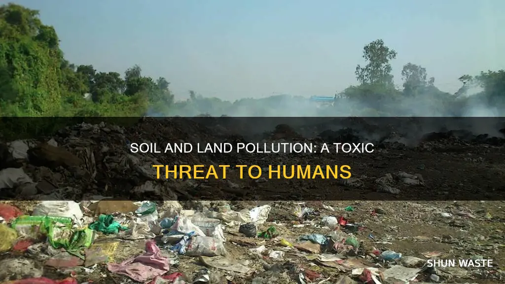 how is soil and land pollution affecting people