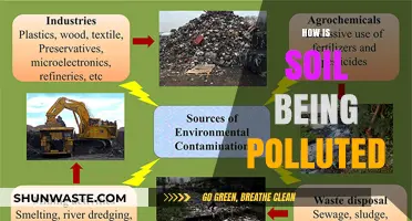 Soil Pollution: The Unseen Crisis Beneath Our Feet