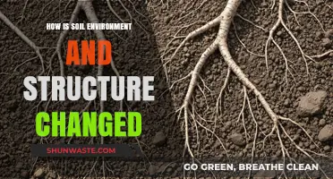 Transforming Soil: Environmental Factors Altering Structure and Ecosystem Dynamics