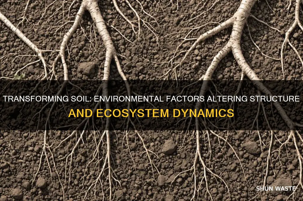 how is soil environment and structure changed