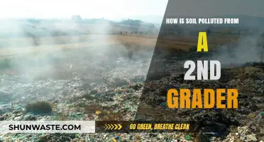 Soil Pollution: What's Harming Our Earth?