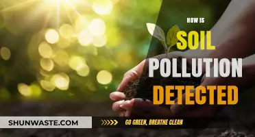 Soil Pollution: Detection Methods and Techniques