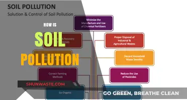Soil Pollution: A Growing Environmental Concern