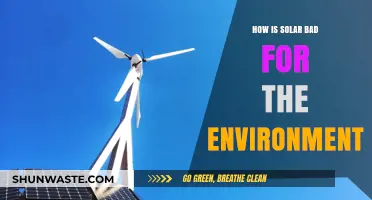 Solar Energy's Hidden Costs: Environmental Impacts You Need to Know
