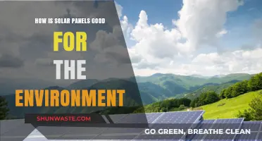 Solar Panels: Eco-Friendly Energy Solutions for a Greener Future
