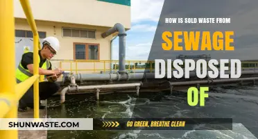 Sewage Waste Disposal: Methods for Managing and Eliminating Sold Byproducts