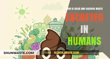 Human Waste Excretion: Understanding Solid and Gaseous Elimination Processes