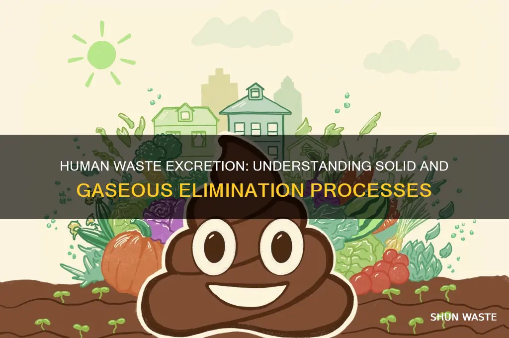 how is solid and gaseous waste excreted in humans