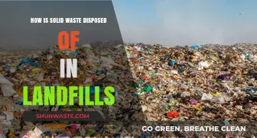 Understanding Landfill Waste Disposal: Methods, Processes, and Environmental Impact