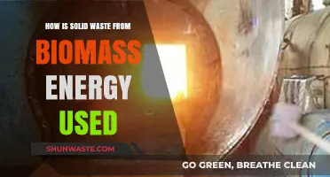 Utilizing Biomass Energy Byproducts: Creative Uses for Solid Waste