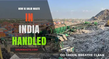 India's Solid Waste Management: Challenges, Solutions, and Sustainable Practices